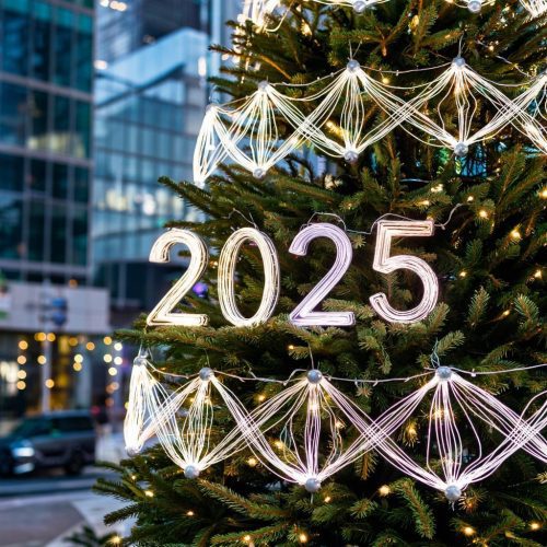 Nieuwjaar 2025